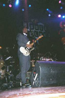 chic-nile-guitar.jpg (13792 bytes)